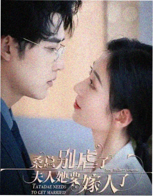 山河月明 剧集海报